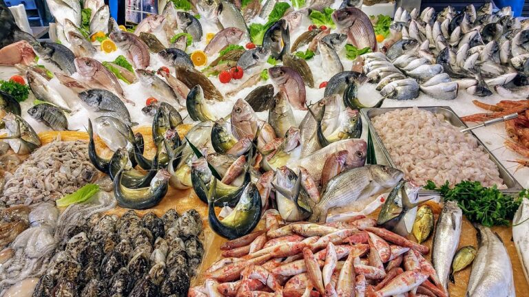 I 5 mercati del pesce più belli d'Italia: il secondo è un'esperienza unica